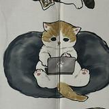 由 lisakitty (刊登 ID 1382278877，圖片 1) 提交，位於 的 (類別：)，說明：。