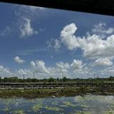 (Category: ) located in . Submitted by remusthw (Listing ID 1378904791, Image 1). Description: .