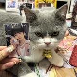 （分類：）位於 。 由 tnt_love__popcorn 提交（商品編號 1362266763，圖片 1）。簡介： 。