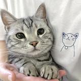 頭像