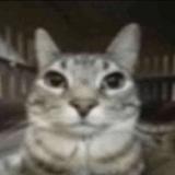 (Category: ) located in . Submitted by masato03966 (Listing ID 1370901583, Image 1). Description: .