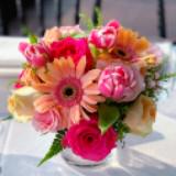 (Category: ) located in . Submitted by myclassycloset (Listing ID 1331316276, Image 1). Description: .