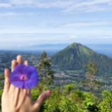 (Kategori: ) berada di . Dikirim oleh prelovedbyNistia (ID iklan 1377260551, Gambar 1). Deskripsi: .