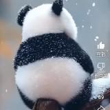 （分類：）位於 。 由 puiwahcora 提交（商品編號 176010379，圖片 1）。簡介： 。