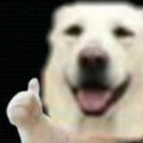 (Category: ) located in . Submitted by reliabledog (Listing ID 1360947099, Image 1). Description: .