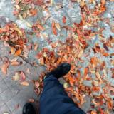 (Category: ) located in . Submitted by nowayidc (Listing ID 1440168958, Image 1). Description: .