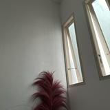 (Kategori: ) berada di . Dikirim oleh brmolly (ID iklan 1378893891, Gambar 1). Deskripsi: .