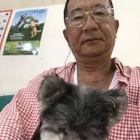 頭像