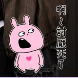 (分類:)位於 。 由 charsiuuuuu 提交(商品編號 1372343558,圖片 1)。簡介: 。