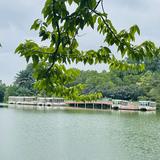 (Category: ) located in . Submitted by mayo88 (Listing ID 1447496029, Image 1). Description: .