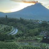 (Kategori: ) berada di . Dikirim oleh ance_ance (ID iklan 1377561047, Gambar 1). Deskripsi: .