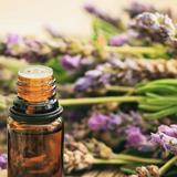 (Category: ) located in . Submitted by essentialoil_pure (Listing ID 1368171404, Image 1). Description: .