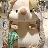 (Category: ) located in . Submitted by emmapreloved96 (Listing ID 1457744047, Image 1). Description: .