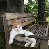 (Kategori: ) berada di . Dikirim oleh prel0vvv3d (ID iklan 1351801661, Gambar 1). Deskripsi: .