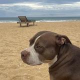 (Category: ) located in . Submitted by satlsh (Listing ID 1340718779, Image 1). Description: .