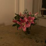 (Category: ) located in . Submitted by eloisebrid (Listing ID 1386481038, Image 1). Description: .
