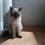 (分類:)位於 。 由 anne10975 提交(商品編號 1390074063,圖片 1)。簡介: 。