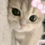 (Category: ) located in . Submitted by pinkguavas (Listing ID 1346155634, Image 1). Description: .