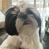 (Category: ) located in . Submitted by mariascloset2 (Listing ID 1343706501, Image 1). Description: .