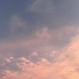 由 yoonzi (刊登 ID 1381362441，圖片 1) 提交，位於 的 (類別：)，說明：。