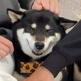 由 april10121012 (刊登 ID 1364213906，圖片 1) 提交，位於 的 (類別：)，說明：。