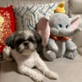 (Category: ) located in . Submitted by kris_1854 (Listing ID 1382887247, Image 1). Description: .