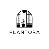 （分類：）位於 。 由 plantora 提交（商品編號 1380973609，圖片 1）。簡介： 。