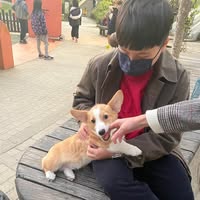 由 a101213470338 (刊登 ID 1373594493，圖片 1) 提交，位於 的 (類別：)，說明：。