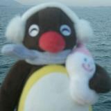 (Category: ) located in . Submitted by d4wnn__ (Listing ID 1382898036, Image 1). Description: .