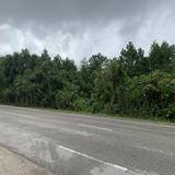 (Category: ) located in . Submitted by muhamadamirulaqlan77 (Listing ID 1454796489, Image 1). Description: .