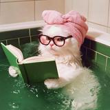 (Kategori: ) berada di . Dikirim oleh byciri (ID iklan 1380340512, Gambar 1). Deskripsi: .