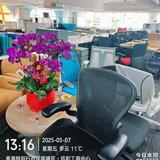 （分類：）位於 。 由 seandeartree 提交（商品編號 1354009704，圖片 1）。簡介： 。