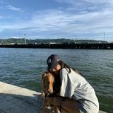 (Category: ) located in . Submitted by anndelros29 (Listing ID 1355513160, Image 1). Description: .
