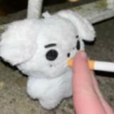 (Category: ) located in . Submitted by fatbulous. (Listing ID 1359437433, Image 1). Description: .