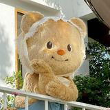 (Kategori: ) berada di . Dikirim oleh kiput18 (ID iklan 1351050078, Gambar 1). Deskripsi: .
