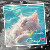 （分類：）位於 。 由 lunabreeze 提交（商品編號 1356715358，圖片 1）。簡介： 。