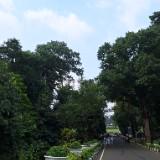 (Kategori: ) berada di . Dikirim oleh nayzhaskraa_ (ID iklan 1365428596, Gambar 1). Deskripsi: .
