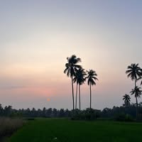 (Category: ) located in . Submitted by biahsalam95 (Listing ID 1424932902, Image 1). Description: .