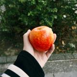 由 chuchuyun (刊登 ID 1382297399，圖片 1) 提交，位於 的 (類別：)，說明：。