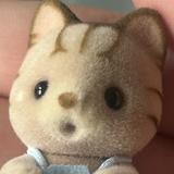 (Category: ) located in . Submitted by ohurnana (Listing ID 1345104357, Image 1). Description: .