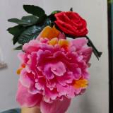 （分類：）位於 。 由 18winnie 提交（商品編號 1385337447，圖片 1）。簡介： 。
