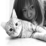 由 hsinyu85385 (刊登 ID 1370338477，圖片 1) 提交，位於 的 (類別：)，說明：。