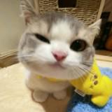 (Category: ) located in . Submitted by relovedbyann (Listing ID 1460884669, Image 1). Description: .