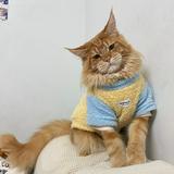 （分類：）位於 。 由 in555 提交（商品編號 1231778784，圖片 1）。簡介： 。