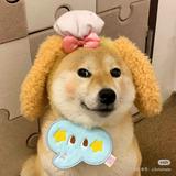 頭像