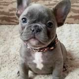(Category: ) located in . Submitted by sleepymfs (Listing ID 1469324158, Image 1). Description: .