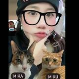 由 pppei222 (刊登 ID 1375100553，圖片 1) 提交，位於 的 (類別：)，說明：。