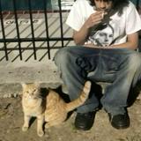 (Category: ) located in . Submitted by sal4dass (Listing ID 1361026141, Image 1). Description: .
