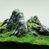 (Category: ) located in . Submitted by ascape (Listing ID 1373792565, Image 1). Description: .