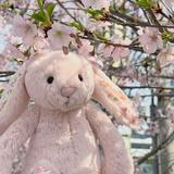 (Category: ) located in . Submitted by bunny__lover (Listing ID 1352595563, Image 1). Description: .